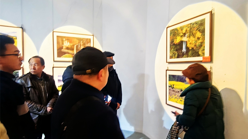 qq图片20260202103106_副本.jpg qq图片20260202103106_副本.jpg